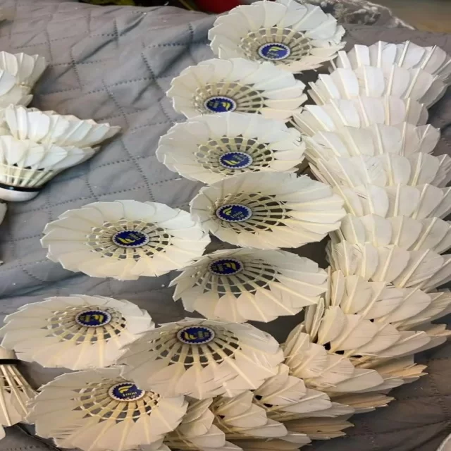 游泳项目达标动态：心理视角剖析与实践策略