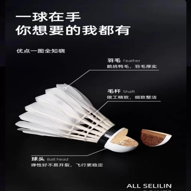训练备战聚焦阵容调整 第800组深度解读